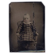 Well behaved boy for sale  Portland