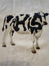 Phish coventry vintage for sale  Saint Cloud