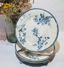 Lot assiettes plates d'occasion  Saumur