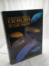 Cichlids fishes lake for sale  Racine