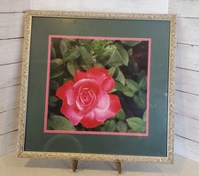 Professionally framed mounted for sale  Bay City
