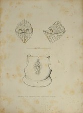 1830 antique arms for sale  YORK