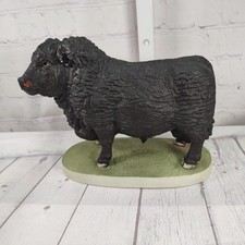 Angus bull andrea for sale  Odenville
