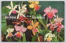 Hawaii orchids nine for sale  Athens