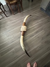 Mounted steer horns for sale  Conroe