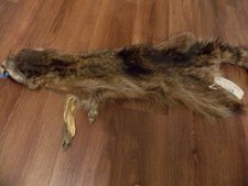 Genuine fur pelt for sale  Federal Way