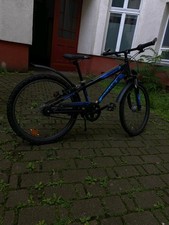 Pegasus avanti sport gebraucht kaufen  Berlin