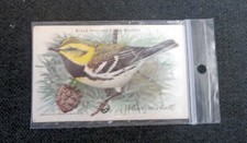 Bicarbonato de sódio marca Cow Useful Birds of America 10ª série, #2 e #6. (Veja abaixo) comprar usado  Enviando para Brazil
