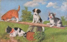 Cats and dog d'occasion  Expédié en Belgium