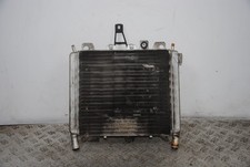 73995 radiatore con usato  Roma