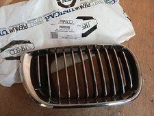 Bm0202013 griglia radiatore usato  Busca