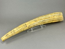 Vintage replica scrimshaw for sale  Wentzville