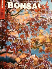 Bonsai art magazin gebraucht kaufen  Langerwehe