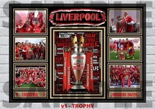 Liverpool premier league for sale  RHYL