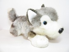 Keel storm husky for sale Keel storm husky for sale  SWADLINCOTE