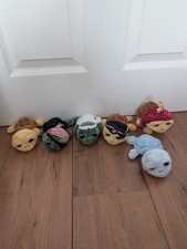 Russ baby turtles for sale  POOLE