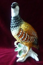partridge for sale  SWINDON