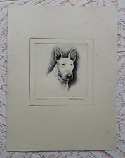 Bull terrier head for sale  LONDON