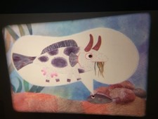 16mm film animation d'occasion  Cléguer