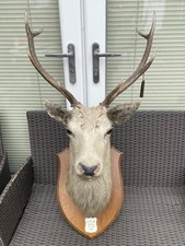 Antique point red for sale  ASHINGTON