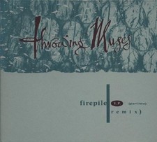 Unknown artist firepile for sale  UK