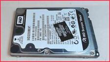 Hdd festplatte 320gb gebraucht kaufen  Hofheim