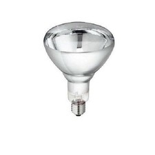 Philips lampada incandescente usato  Monterotondo