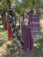 Lot ann taylor for sale  Lexington