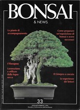 Bonsai news gennaio usato  Torino