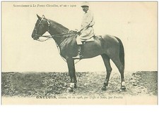 Hippisme. 37645.gaulois.alezan d'occasion  France