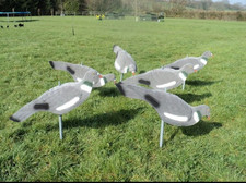 Flocked pigeon hunting usato  Rovigo