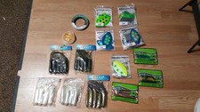 Lake trout fishing for sale  Florence