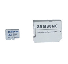 Cartão de memória micro SDXC Samsung EVO Plus 256GB classe 10 + adaptador SD comprar usado  Enviando para Brazil