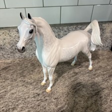 Peter stone arabian for sale  Brooksville