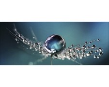 Glasbild drop water gebraucht kaufen  Deutschland