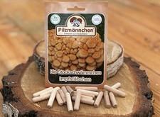 Stockschwämmchen impfstäbche gebraucht kaufen  Großdubrau