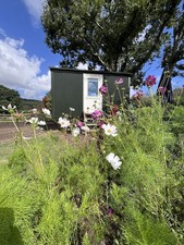 Shepherds hut for sale  LIPHOOK