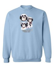 Shih tzu dog for sale  Kimberling City