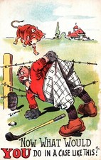 Golf comic postcard for sale  Whitinsville