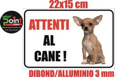 Chihuahua attenti cane usato  Italia