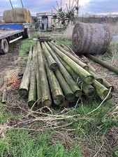 Softwood treated poles for sale  IPSWICH