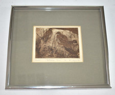 Napel artist proof for sale  Buckeye