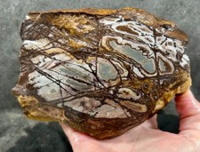 Outback jasper rough for sale  Fountain Valley