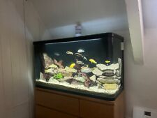 Fish tank aquarium for sale  CIRENCESTER
