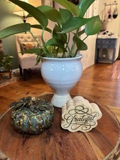 Autumn decor aqua for sale  Soquel
