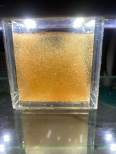 Live brine shrimps d'occasion  Expédié en Belgium