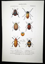 1831 pretre originale usato  Urbino