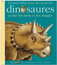 Livre rébus dinosaures d'occasion  Mainvilliers