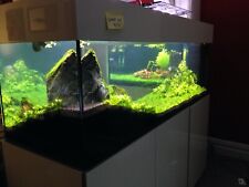 6ft aquarium4life tropical for sale  PRESTON