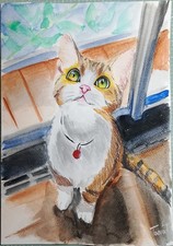 Disegno acquarello disegno usato  Messina